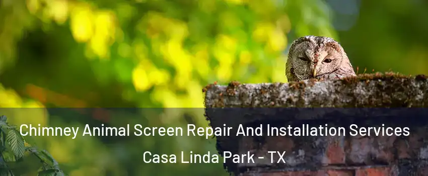 Chimney Animal Screen Repair And Installation Services Casa Linda Park - TX