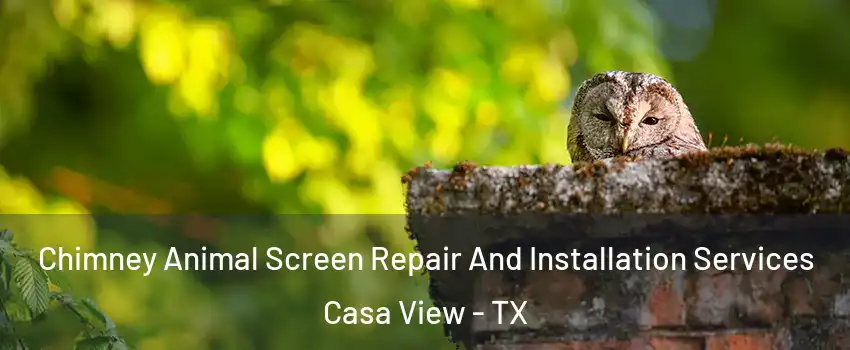 Chimney Animal Screen Repair And Installation Services Casa View - TX