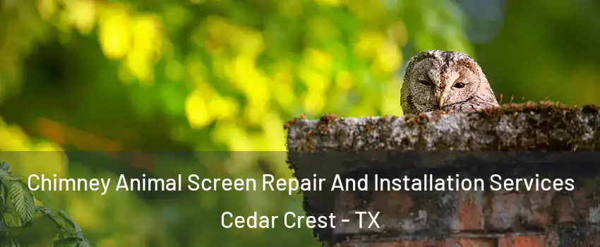 Chimney Animal Screen Repair And Installation Services Cedar Crest - TX