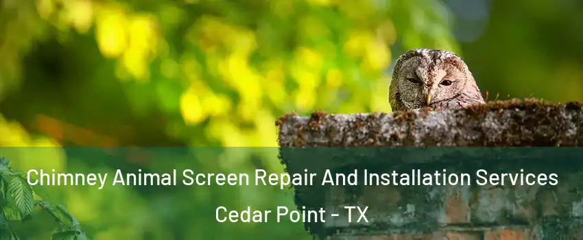 Chimney Animal Screen Repair And Installation Services Cedar Point - TX
