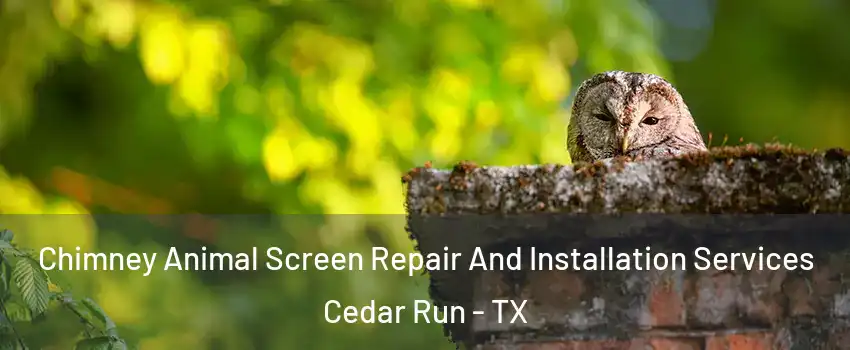 Chimney Animal Screen Repair And Installation Services Cedar Run - TX