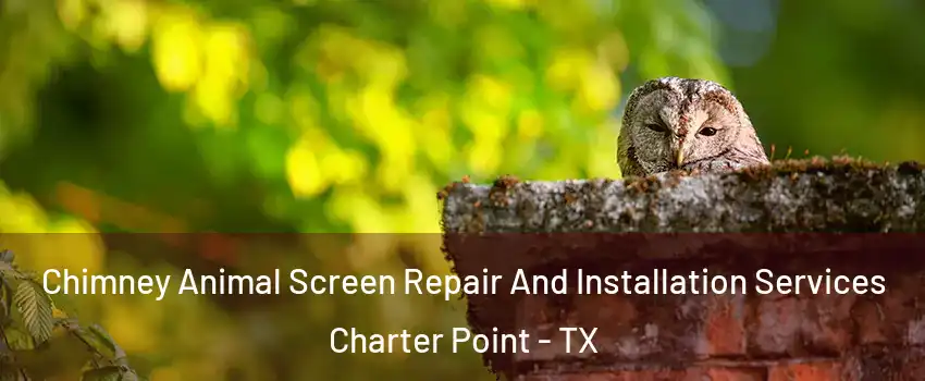 Chimney Animal Screen Repair And Installation Services Charter Point - TX