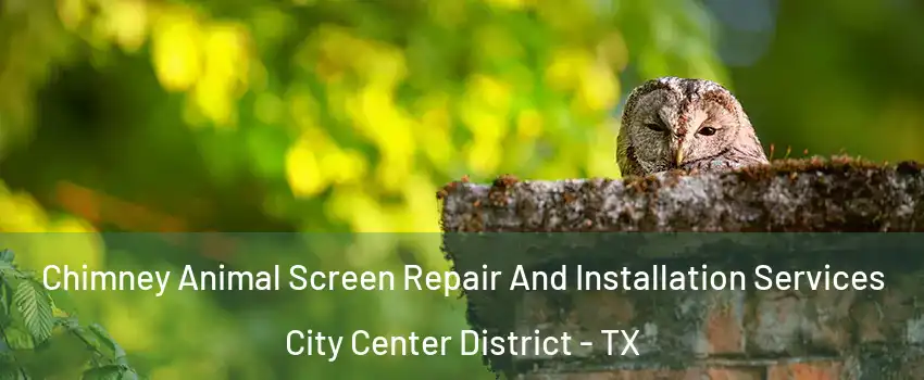 Chimney Animal Screen Repair And Installation Services City Center District - TX
