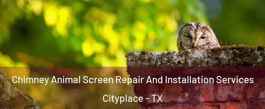 Chimney Animal Screen Repair And Installation Services Cityplace - TX