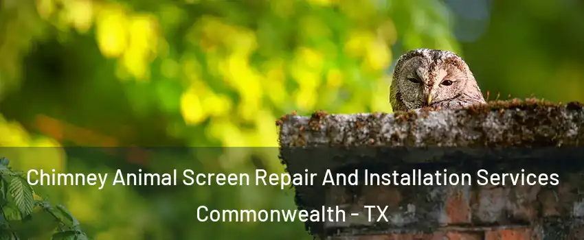 Chimney Animal Screen Repair And Installation Services Commonwealth - TX