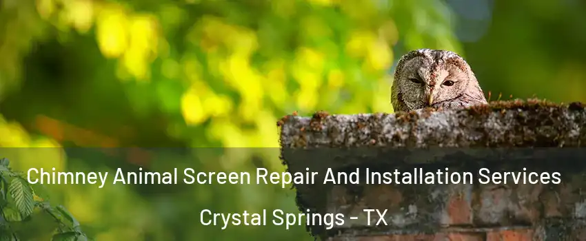 Chimney Animal Screen Repair And Installation Services Crystal Springs - TX
