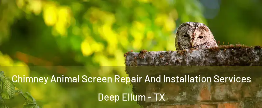 Chimney Animal Screen Repair And Installation Services Deep Ellum - TX