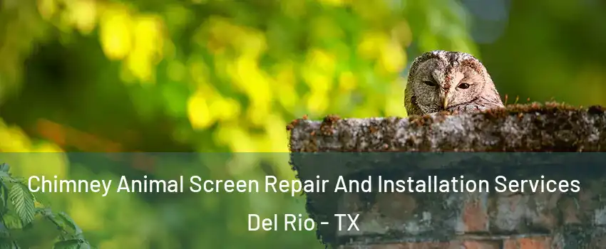 Chimney Animal Screen Repair And Installation Services Del Rio - TX
