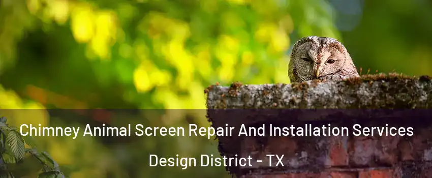 Chimney Animal Screen Repair And Installation Services Design District - TX
