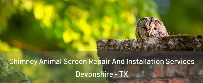 Chimney Animal Screen Repair And Installation Services Devonshire - TX