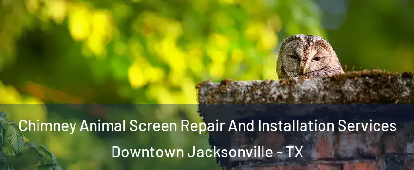 Chimney Animal Screen Repair And Installation Services Downtown Jacksonville - TX