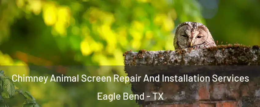 Chimney Animal Screen Repair And Installation Services Eagle Bend - TX