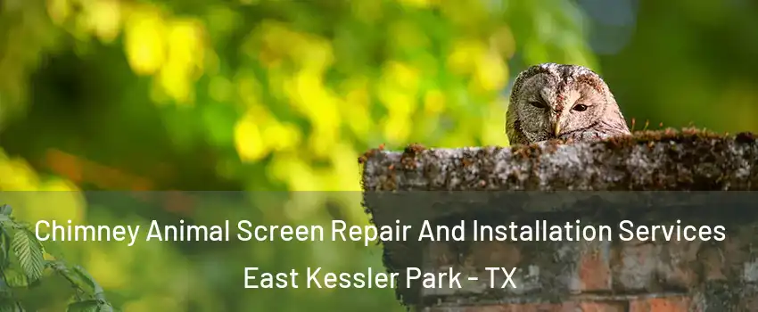 Chimney Animal Screen Repair And Installation Services East Kessler Park - TX