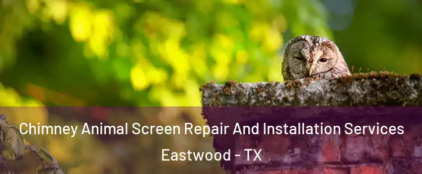 Chimney Animal Screen Repair And Installation Services Eastwood - TX