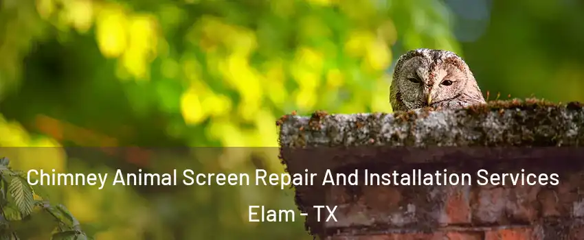 Chimney Animal Screen Repair And Installation Services Elam - TX