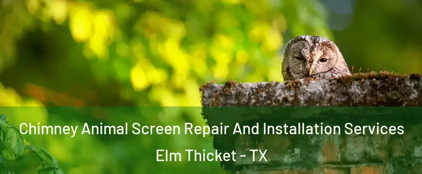 Chimney Animal Screen Repair And Installation Services Elm Thicket - TX