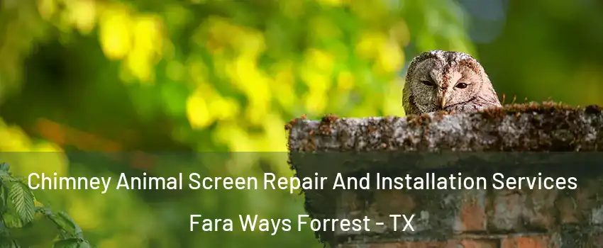 Chimney Animal Screen Repair And Installation Services Fara Ways Forrest - TX