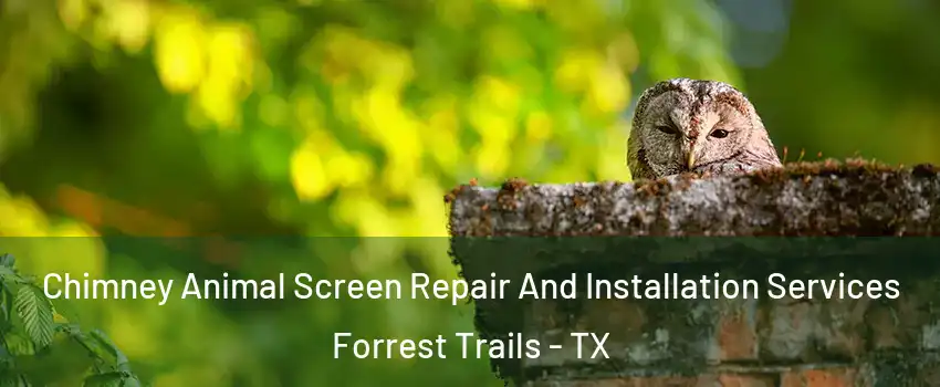 Chimney Animal Screen Repair And Installation Services Forrest Trails - TX