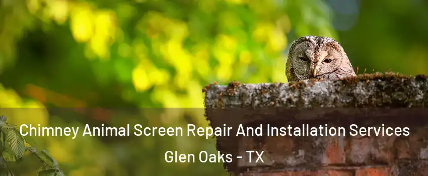 Chimney Animal Screen Repair And Installation Services Glen Oaks - TX