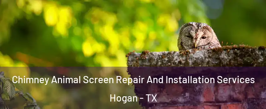 Chimney Animal Screen Repair And Installation Services Hogan - TX
