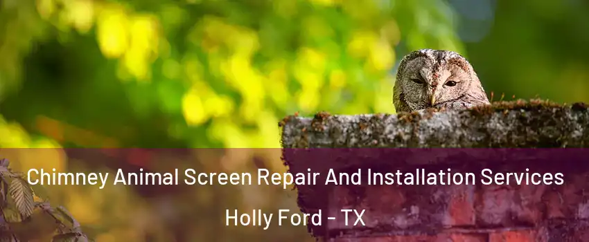 Chimney Animal Screen Repair And Installation Services Holly Ford - TX