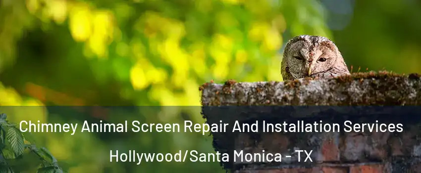 Chimney Animal Screen Repair And Installation Services Hollywood/Santa Monica - TX