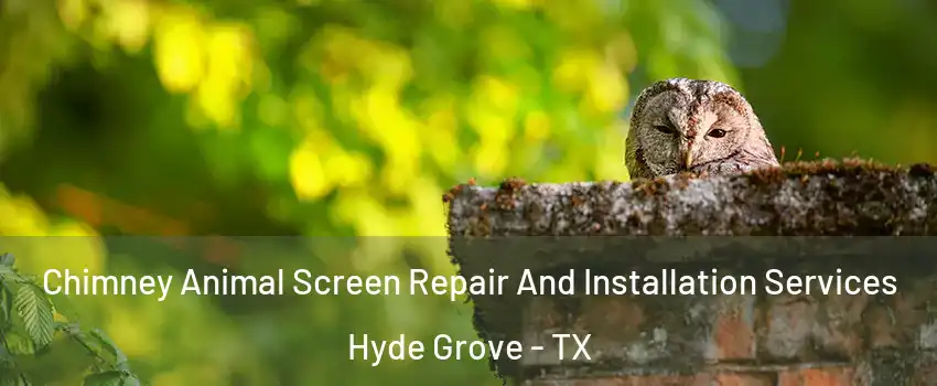 Chimney Animal Screen Repair And Installation Services Hyde Grove - TX