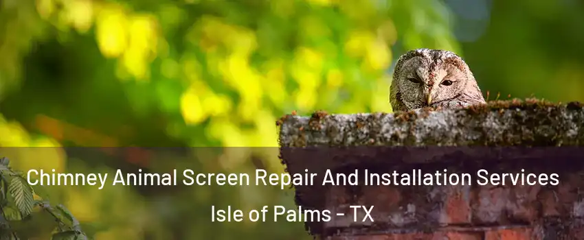 Chimney Animal Screen Repair And Installation Services Isle of Palms - TX