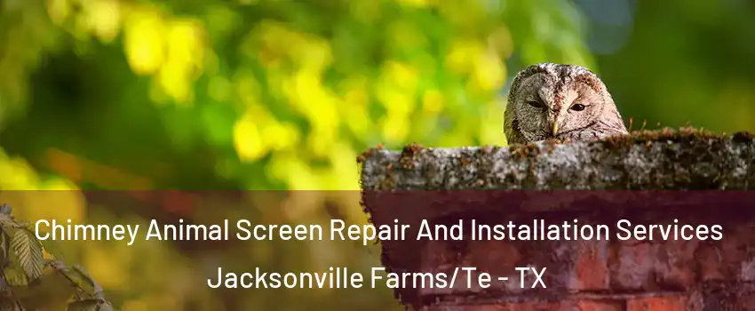 Chimney Animal Screen Repair And Installation Services Jacksonville Farms/Te - TX