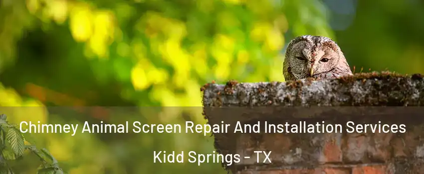 Chimney Animal Screen Repair And Installation Services Kidd Springs - TX