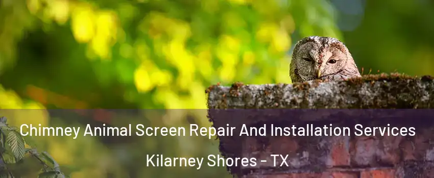 Chimney Animal Screen Repair And Installation Services Kilarney Shores - TX