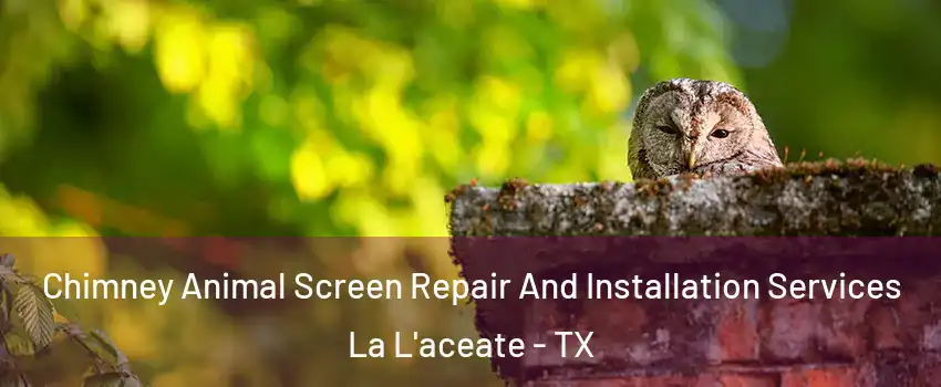Chimney Animal Screen Repair And Installation Services La L'aceate - TX