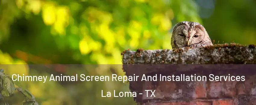 Chimney Animal Screen Repair And Installation Services La Loma - TX