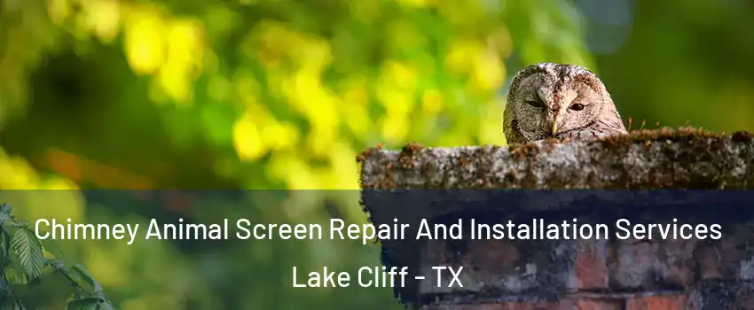 Chimney Animal Screen Repair And Installation Services Lake Cliff - TX