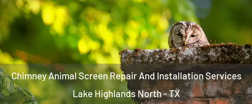 Chimney Animal Screen Repair And Installation Services Lake Highlands North - TX