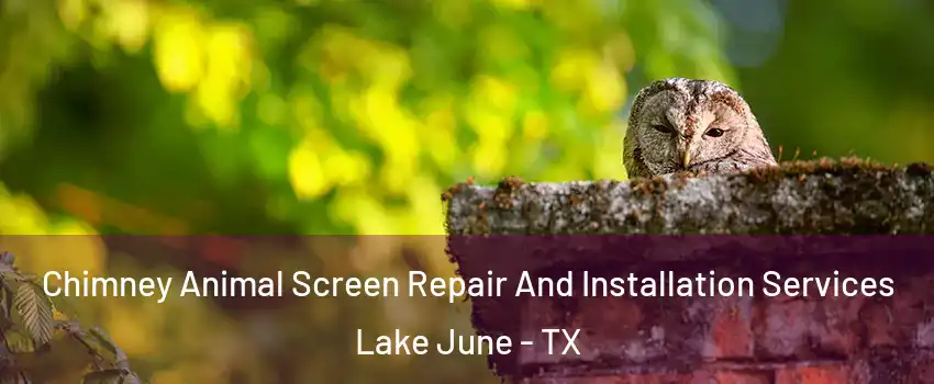 Chimney Animal Screen Repair And Installation Services Lake June - TX