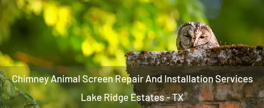Chimney Animal Screen Repair And Installation Services Lake Ridge Estates - TX