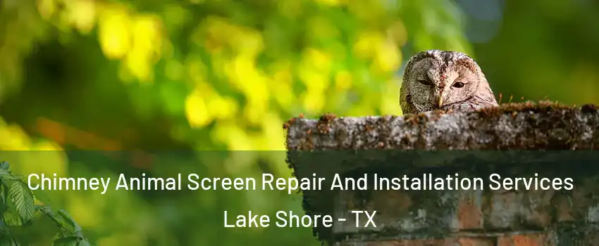 Chimney Animal Screen Repair And Installation Services Lake Shore - TX