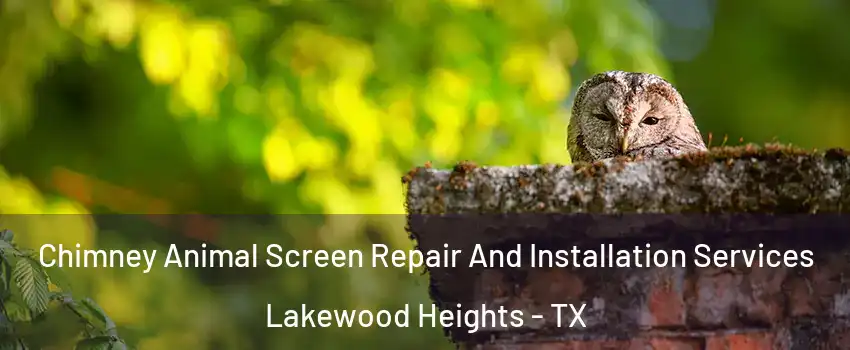 Chimney Animal Screen Repair And Installation Services Lakewood Heights - TX