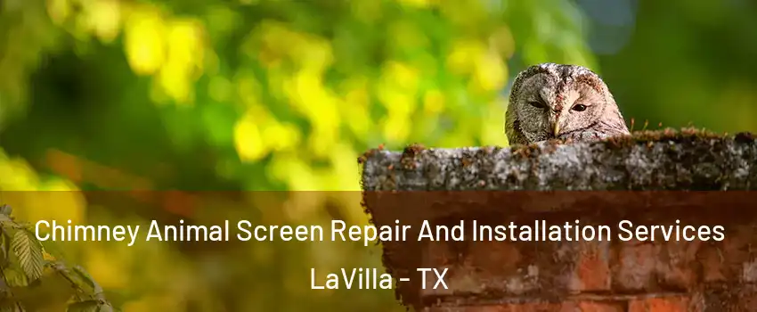 Chimney Animal Screen Repair And Installation Services LaVilla - TX