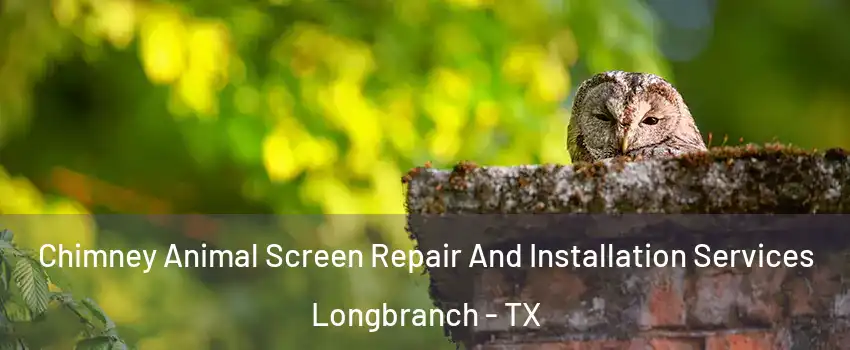 Chimney Animal Screen Repair And Installation Services Longbranch - TX