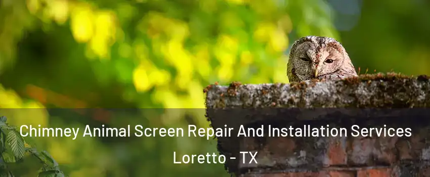 Chimney Animal Screen Repair And Installation Services Loretto - TX