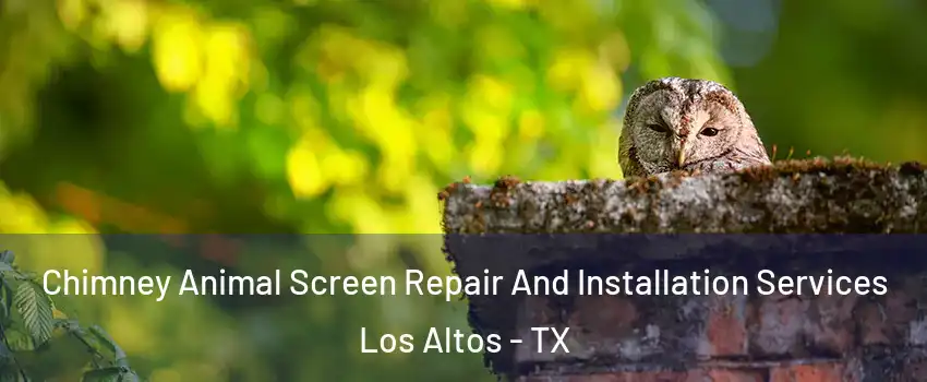 Chimney Animal Screen Repair And Installation Services Los Altos - TX