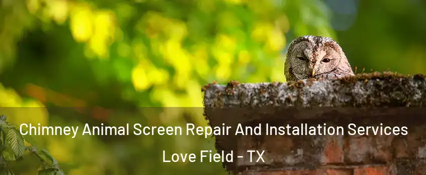 Chimney Animal Screen Repair And Installation Services Love Field - TX