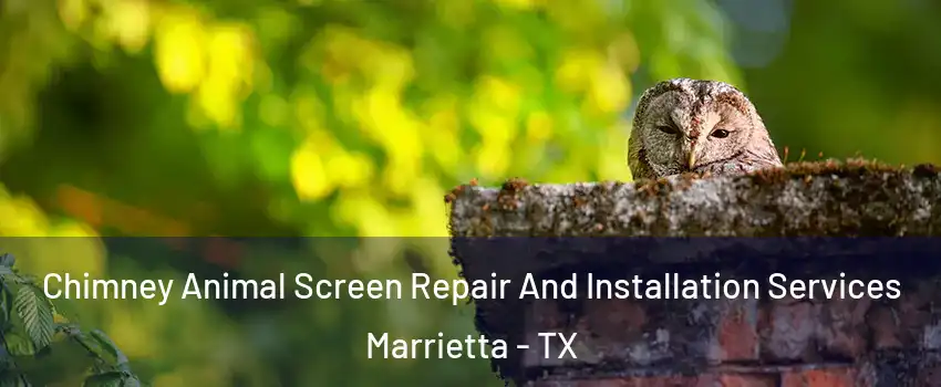 Chimney Animal Screen Repair And Installation Services Marrietta - TX