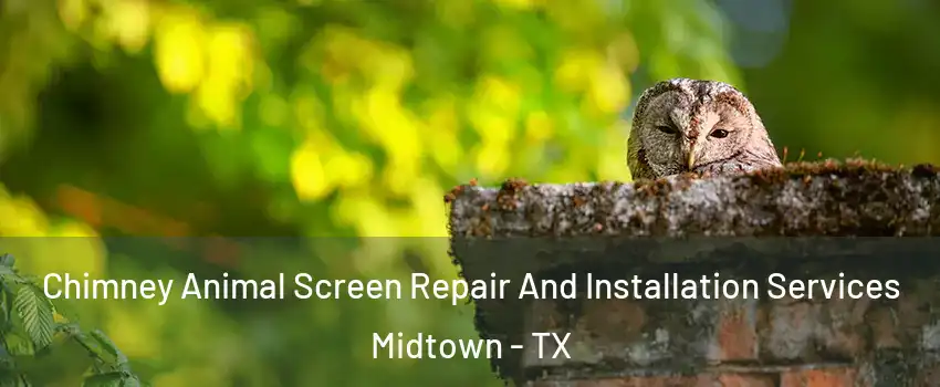 Chimney Animal Screen Repair And Installation Services Midtown - TX