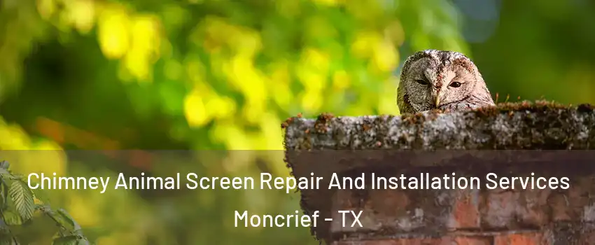 Chimney Animal Screen Repair And Installation Services Moncrief - TX