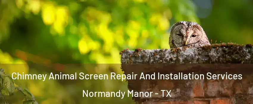 Chimney Animal Screen Repair And Installation Services Normandy Manor - TX