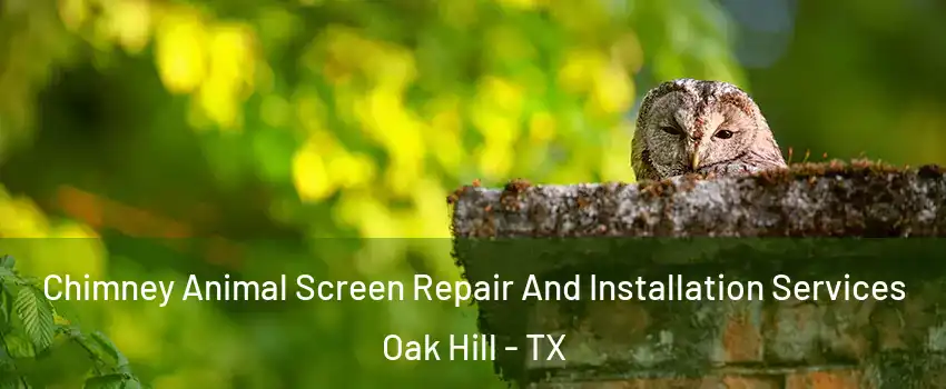Chimney Animal Screen Repair And Installation Services Oak Hill - TX