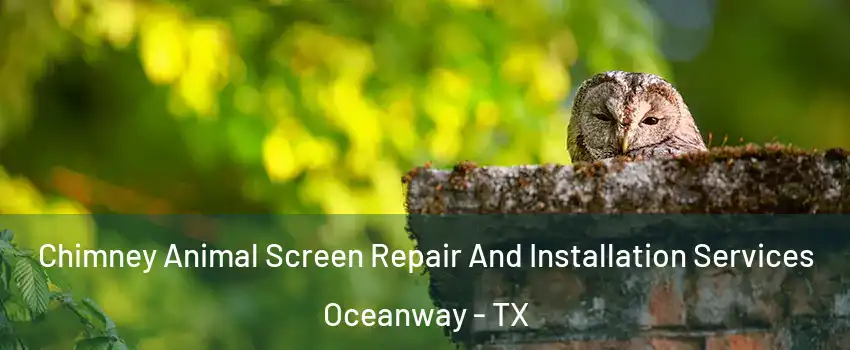 Chimney Animal Screen Repair And Installation Services Oceanway - TX